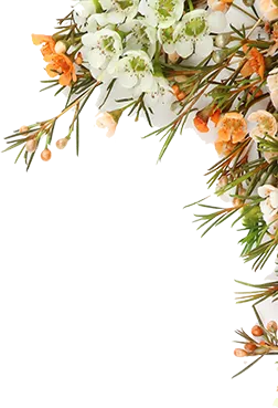 Categories Right Icon