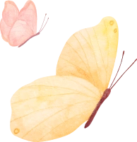 Categories Left Icon