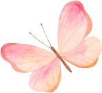 Categories Right Icon