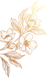 Categories Left Icon