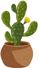 Categories Right Icon