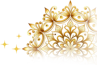 Categories Right Icon