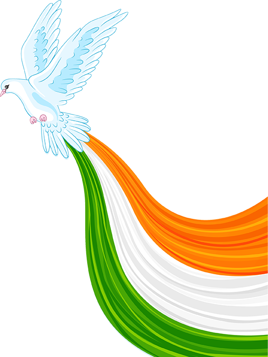 Categories Right Icon