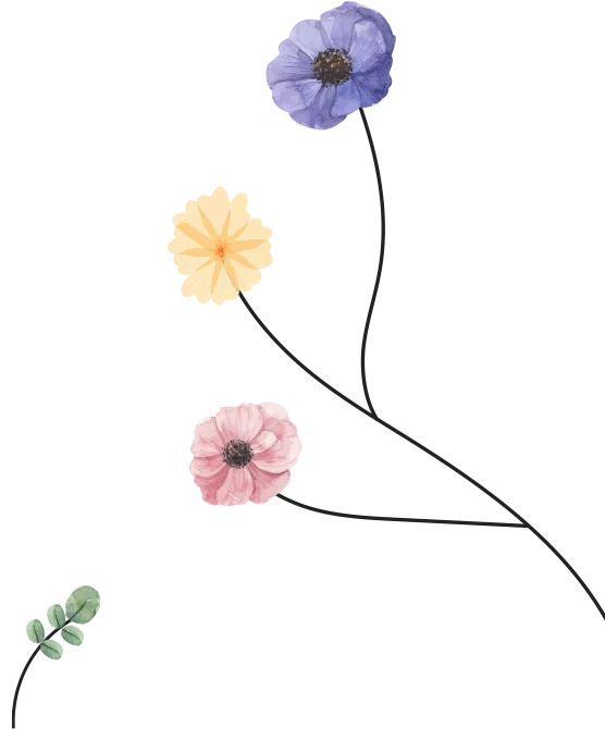 Categories Right Icon