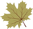 Categories Left Icon