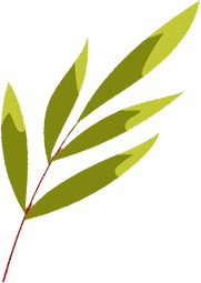 Categories Right Icon
