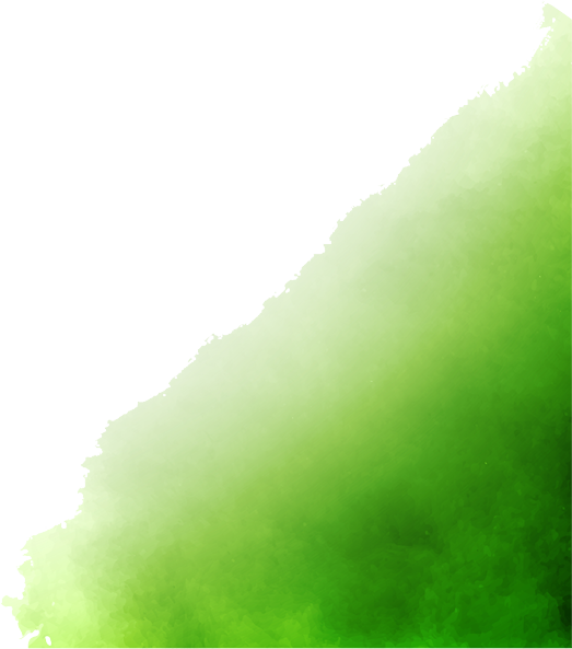 Categories Right Icon