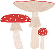 Categories Left Icon