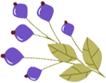 Categories Right Icon