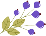 Categories Left Icon