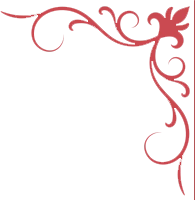 Categories Right Icon