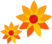 Categories Right Icon