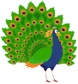 Categories Left Icon