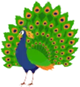 Categories Right Icon