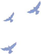 Categories Right Icon